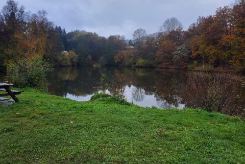 Angelstelle - Étang des Grelins