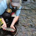 © Angelplatz - Fluss Sioule (untere Sioule) - OT Combrailles