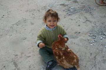 © Bauernhof Fournier Labonne - Ferme Fournier Labonne