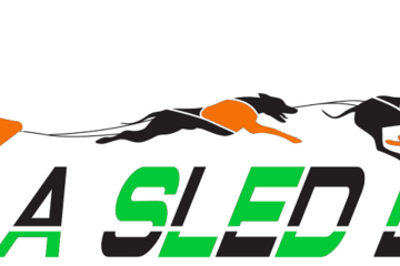 © Spaziergang mit Schlittenhunden - Enola Sled Dogs - Faucher Juliette