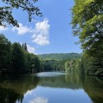 © Domaine Juchlo - Collange Caroline