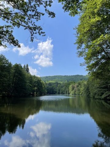 © Domaine Juchlo - Collange Caroline