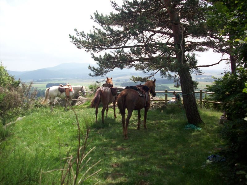 © Reittourismus - Ranch'O'Palles - Groslier Alain