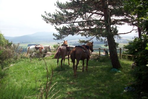 Reittourismus - Ranch'O'Palles