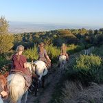 © Reittourismus - Ranch'O'Palles - GROSLIER  Alain