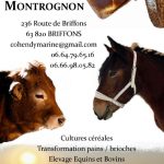 © Verkauf auf dem Bauernhof - Bio-Brot und Brioches - GAEC DE Montrognon