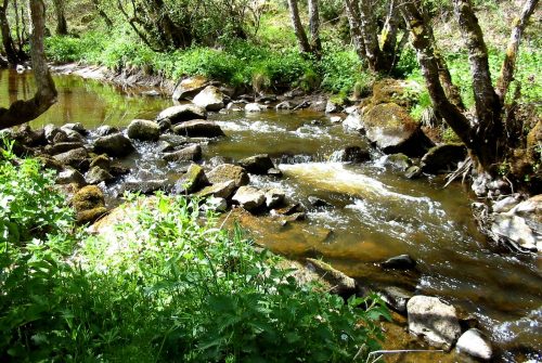 Angelstelle - Fluss Le Sioulet