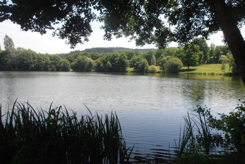 Angelplätze - Plans d'Eau de Saint-Eloy-Les-Mines und Teiche in der Umgebung