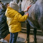 © Spaziergang auf dem Rücken eines Esels - La Ferme de la Marinette - JEM JEM GO