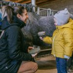 © Spaziergang auf dem Rücken eines Esels - La Ferme de la Marinette - JEM JEM GO