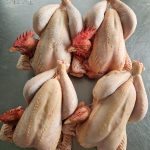 © Bauernhof Fournier Labonne - FERME FOURNIER LABONNE