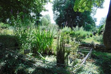 © Kräutertees - Berger-Michel