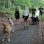 © Spaziergang mit Schlittenhunden - Enola Sled Dogs - JF