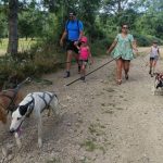 © Spaziergang mit Schlittenhunden - Enola Sled Dogs - JF