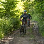 © Spaziergang mit Schlittenhunden - Enola Sled Dogs - JF