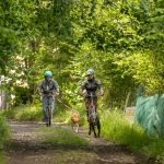 © Spaziergang mit Schlittenhunden - Enola Sled Dogs - JF