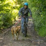 © Spaziergang mit Schlittenhunden - Enola Sled Dogs - JF