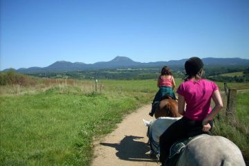 © Reitzentrum - Les Écuries d'Ambur - Damase / CRTE