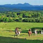 © Reitzentrum - Les Écuries d'Ambur - LES ECURIES D4AMBUR