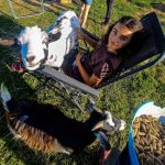 © Der kleine Bauer - Züchterlehrling - Ferme équestre Jolinka