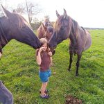 © Der kleine Bauer - Züchterlehrling - Ferme équestre Jolinka