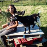 © Der kleine Bauer - Züchterlehrling - Ferme équestre Jolinka