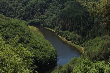 © Picknickbereich - Belvédère des Ancizes_Les Ancizes-Comps - OT Combrailles