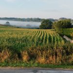 © Schöne Landschaft in der Auvergne - MDO