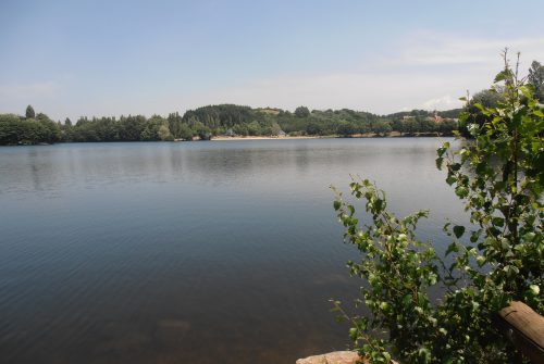 Picknickbereich - Plan d'Eau de Saint-Eloy-les-Mines