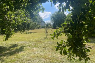 © Gîte le Sancy - Sophie BOSDEVZY