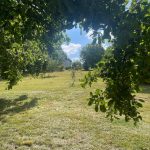 © Gîte le Sancy - Sophie BOSDEVZY
