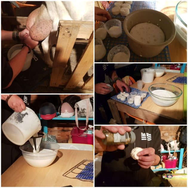 © Miniferme L'Arverne - gabi betram