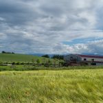 © Brauerei NK - Rbln