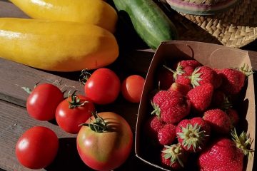 © Gärten von Saint Maigner - Blanchard