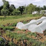 © Gärten von Saint Maigner - Blanchard