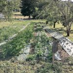 © Gärten von Saint Maigner - Blanchard