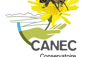 © Haus des Honigs - CANEC