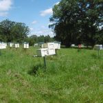 © Haus des Honigs - CANEC