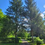 © Camping du lac Confolant_Miremont - Camping