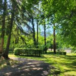 © Camping du lac Confolant_Miremont - Camping
