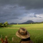 © Reitzentrum - Aya'Cheval - Brunet