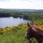 © Reitzentrum - Aya'Cheval - Brunet