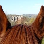 © Reitzentrum - Aya'Cheval - Brunet