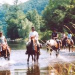 © Reitzentrum - Aya'Cheval - Brunet