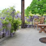 © Unterkunft Les 3 clochers - Braun D.