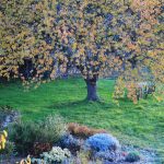 © Unterkunft Les 3 clochers - Braun D.