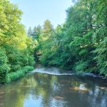 © Angelstelle - Fluss Le Sioulet_Pontaumur - OTC