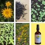 © Farm Die Sonne der blauen Kinder - Ferme Le soleil des P'tits bleus