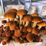 © Die Gourmet-Scheune - La grange gourmande