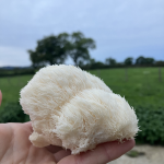 © Die Gourmet-Scheune - La grange gourmande